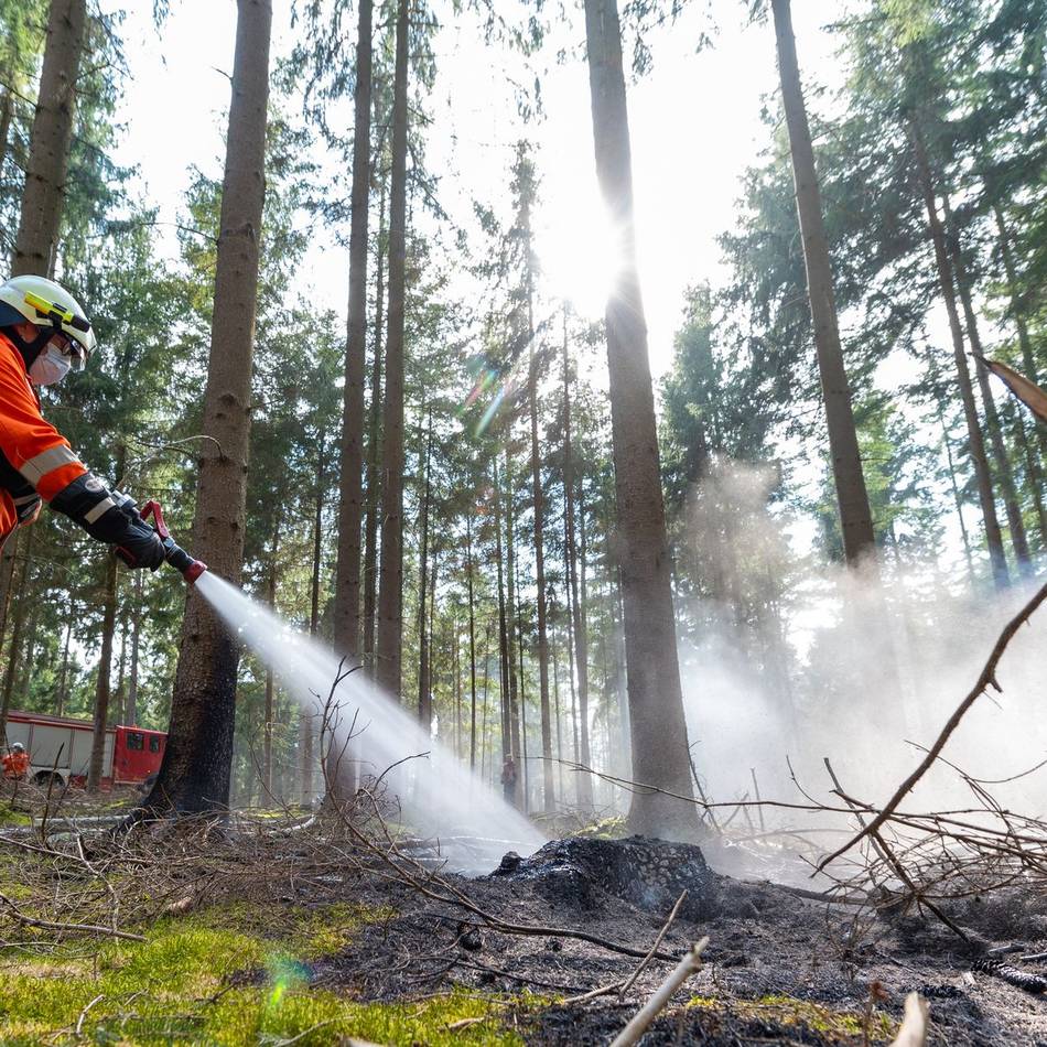 Graslandfeuerindex zeigt’s: In diesen NRW-Städten ist jetzt die Waldbrandgefahr besonders hoch