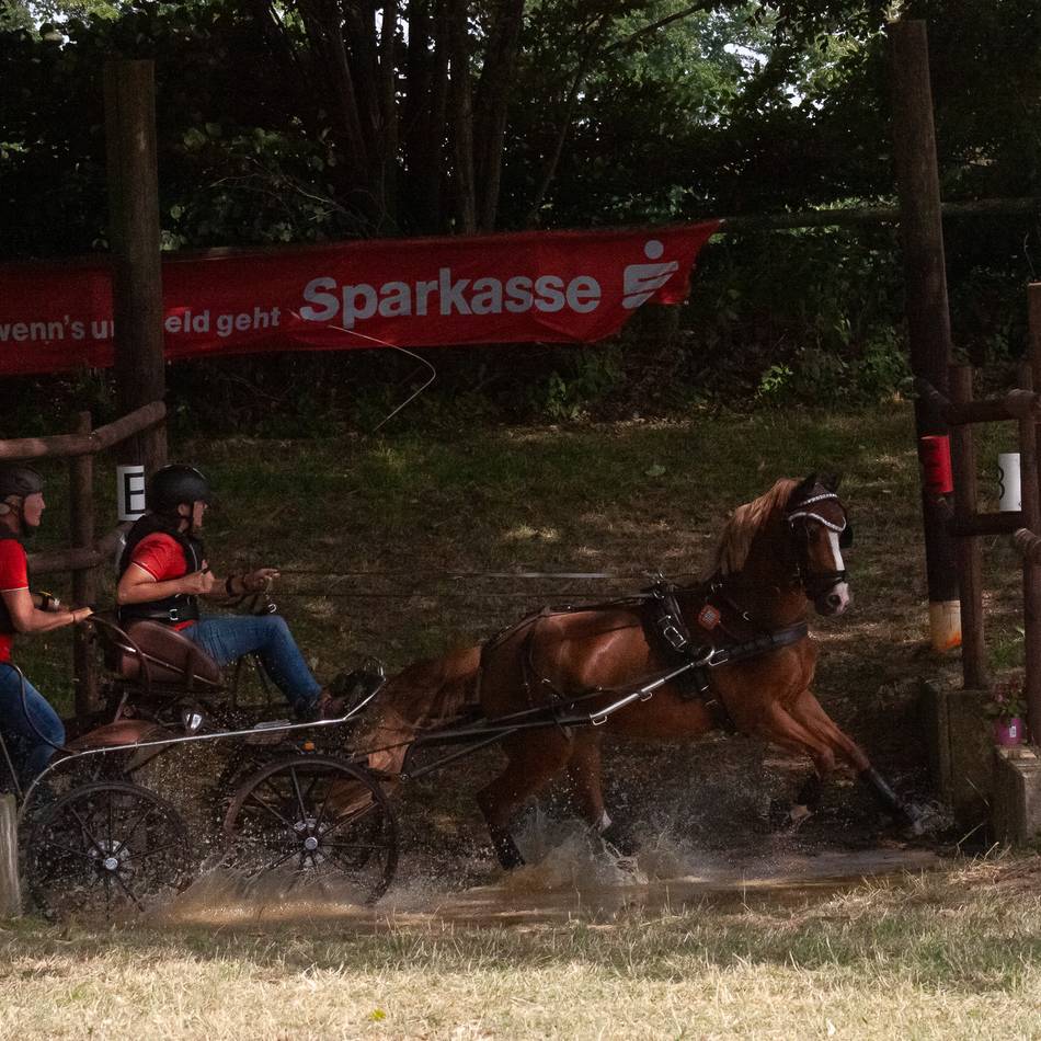 Rheinische Meisterschaften im Gespannfahren: Der Kreispferdesportverband Kleve freut sich mit Tobias Müskens