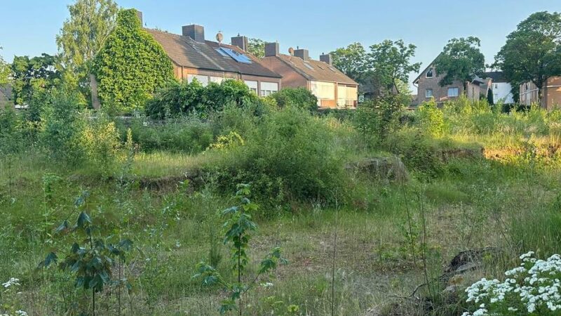 Debatte um bezahlbaren Wohnraum: Neue Wohnbaupläne für Klever Zentrum vorgestellt