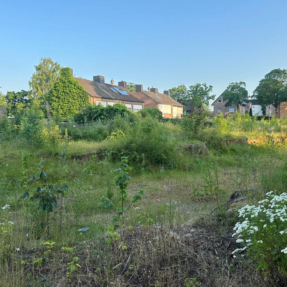 Debatte um bezahlbaren Wohnraum: Neue Wohnbaupläne für Klever Zentrum vorgestellt