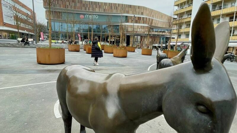 Fachausschüsse tagen in Mönchengladbach: Radstreifen und Innenstadt sind Thema für Politik