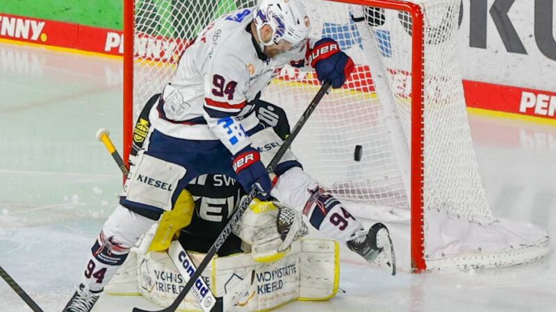 Nächster Zugang in Krefeld: Pinguine verpflichten Stürmer von Vizemeister Ravensburg