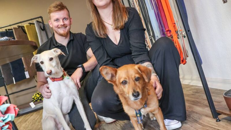 Hundeboutique in Neuss: Neue Wohlfühloase für Hunde in Reuschenberg