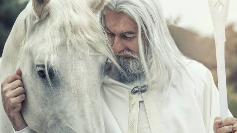 Von Gandalf zum König der Untoten: Tolkien-Tage: High Five aus dem Schattenreich