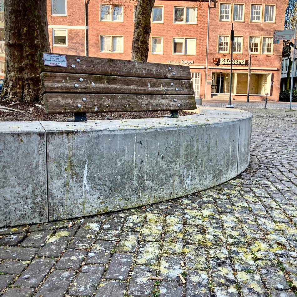 Probleme im Stadtgarten und der City: SPD will Maßnahmen gegen Krähen