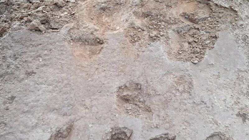 Vandalismus in Moers: Dirtbahn im Park komplett zerstört – Jugendliche frustriert und traurig