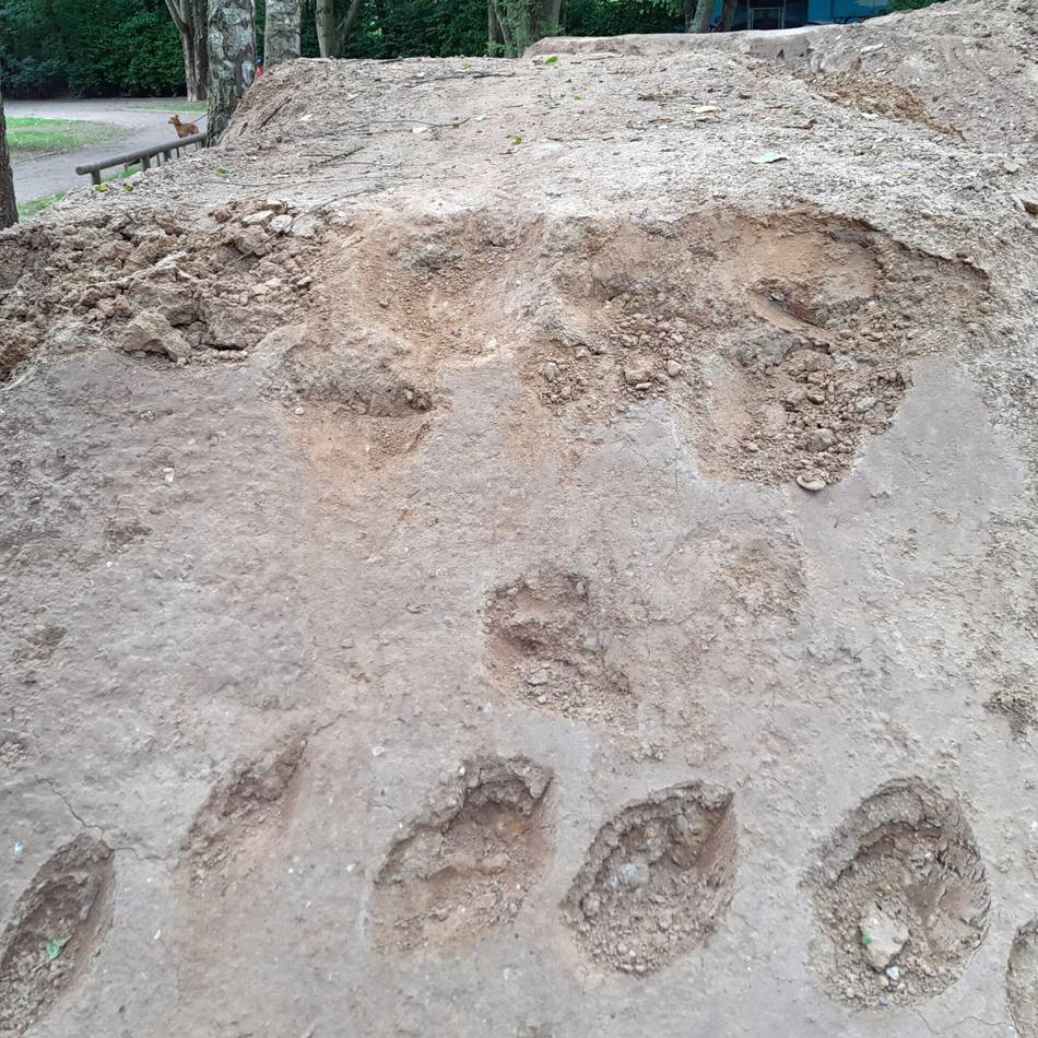 Vandalismus in Moers: Dirtbahn im Park komplett zerstört – Jugendliche frustriert und traurig