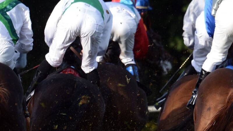 Diana-Trial: Junge Fans, starke Stuten – Rennbahn-Highlight zum Sommerbeginn