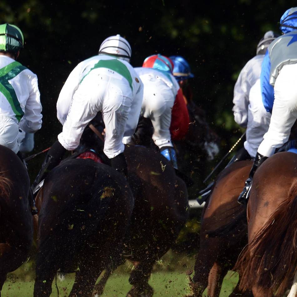 Diana-Trial: Junge Fans, starke Stuten – Rennbahn-Highlight zum Sommerbeginn