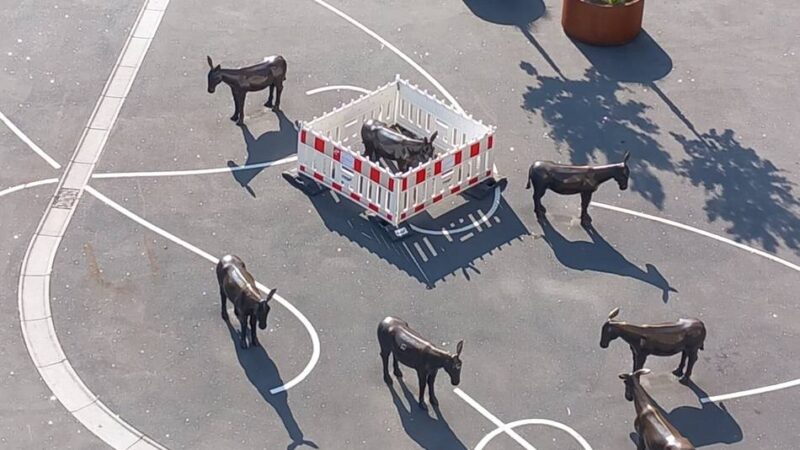 Kunstwerk in Mönchengladbach beschädigt: Ausgeritten – Bronze-Esel isoliert im Gatter