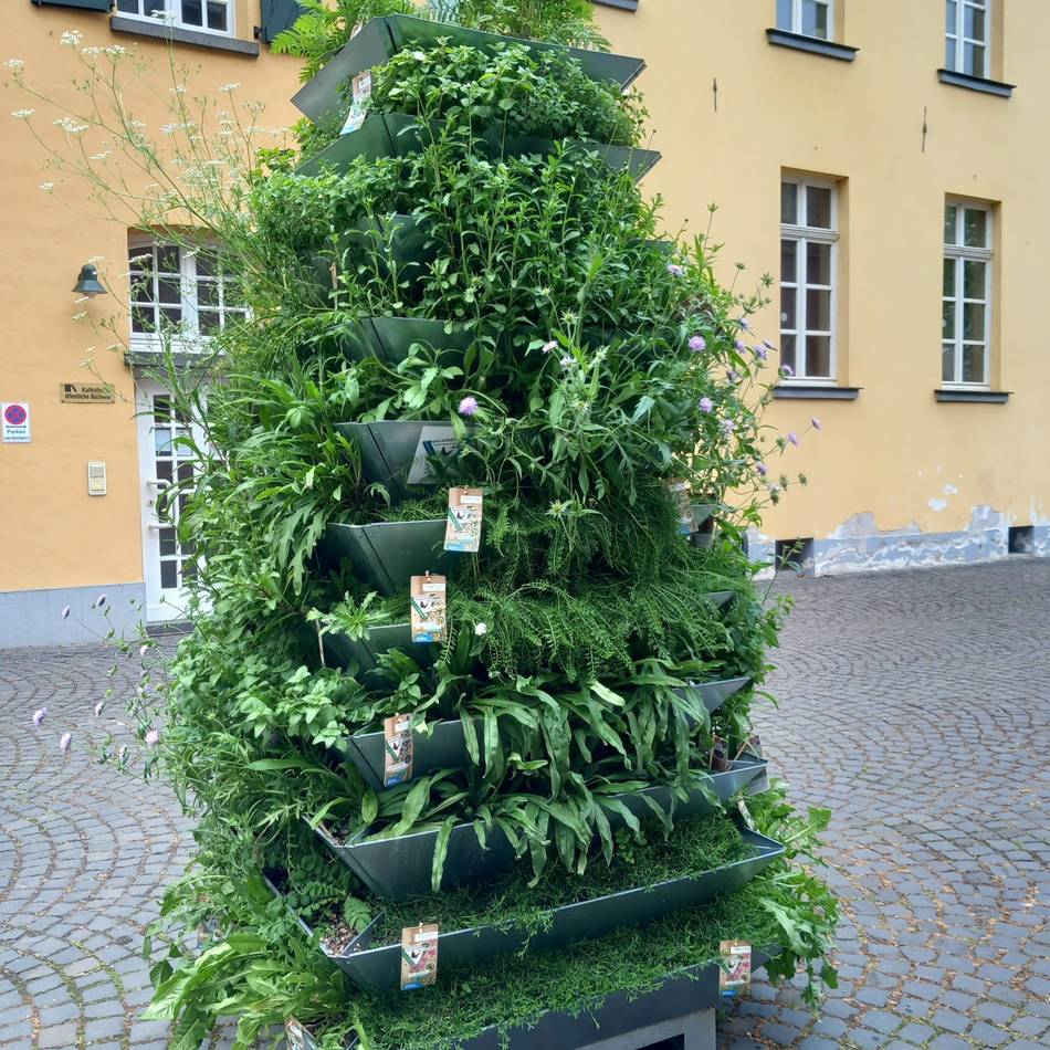 Gemeinsam für mehr Artenvielfalt im Alltag: Wildpflanzenprojekt verbindet Bücherei, Artenvielfalt und Engagement
