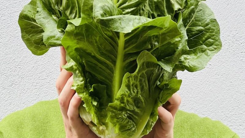 Kulinarik mal anders: Waldmeister-Brause und Wackelpudding