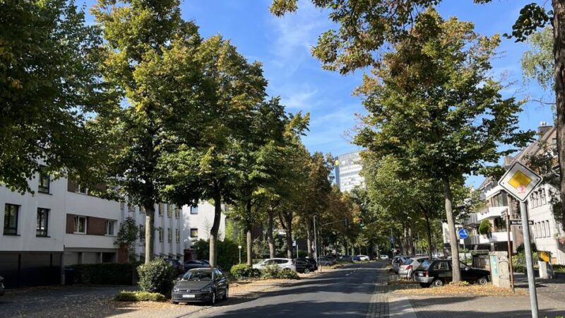 Straßenschäden in Düsseldorf: Wann die Fahrbahn des Mörsenbroicher Wegs erneuert wird