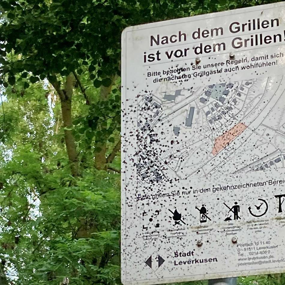 Fünfte öffentliche Fläche in Leverkusen kommt: Politik stimmt Grillen am Rhein in Wiesdorf zu