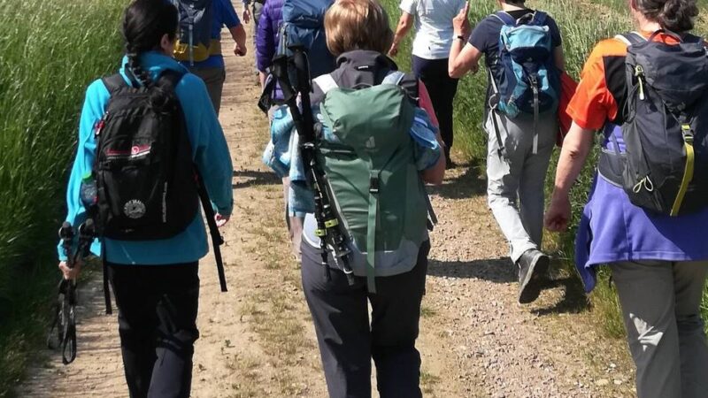 SGV Langenfeld/Monheim: Am 11. Juni geht es durch die Ohligser Heide zur Schwanenmühle