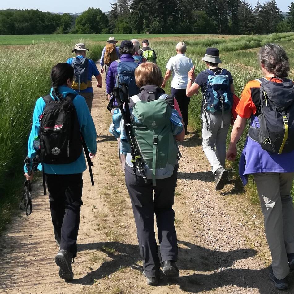 SGV Langenfeld/Monheim: Am 11. Juni geht es durch die Ohligser Heide zur Schwanenmühle