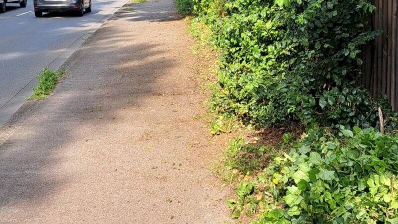 Nach Meldung an den Kommunalbetrieb Krefeld: Radweg an der Untergath von Gestrüpp befreit