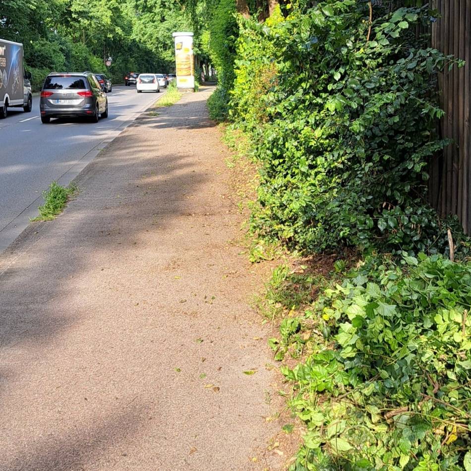 Nach Meldung an den Kommunalbetrieb Krefeld: Radweg an der Untergath von Gestrüpp befreit