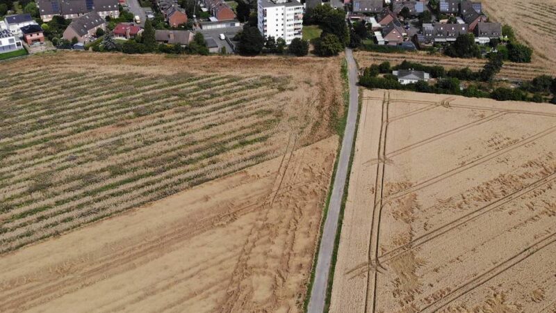 Namens-Debatte in Grevenbroich: Grüne wollen Straßen in Neubaugebiet nicht nach Generälen benennen