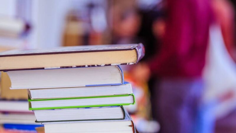 Medienflohmarkt in der Stadtbibliothek Hilden: Schnäppchen für die Sommerferien