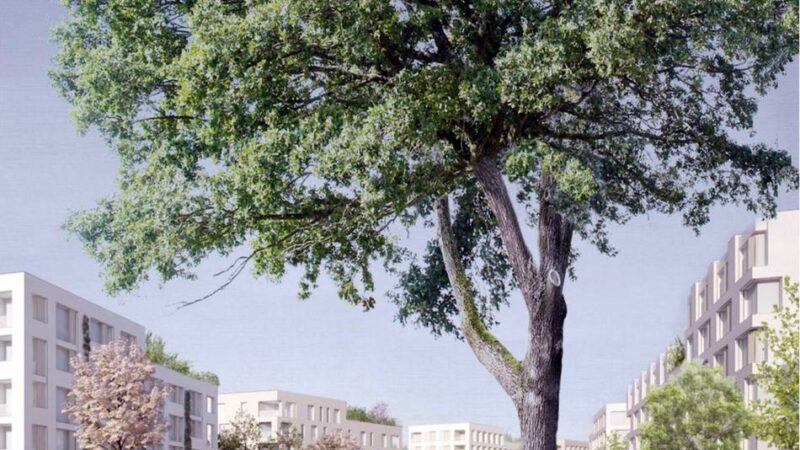 Mobile Redaktion in Büderich: Wird Wohnen in Meerbusch unbezahlbar?