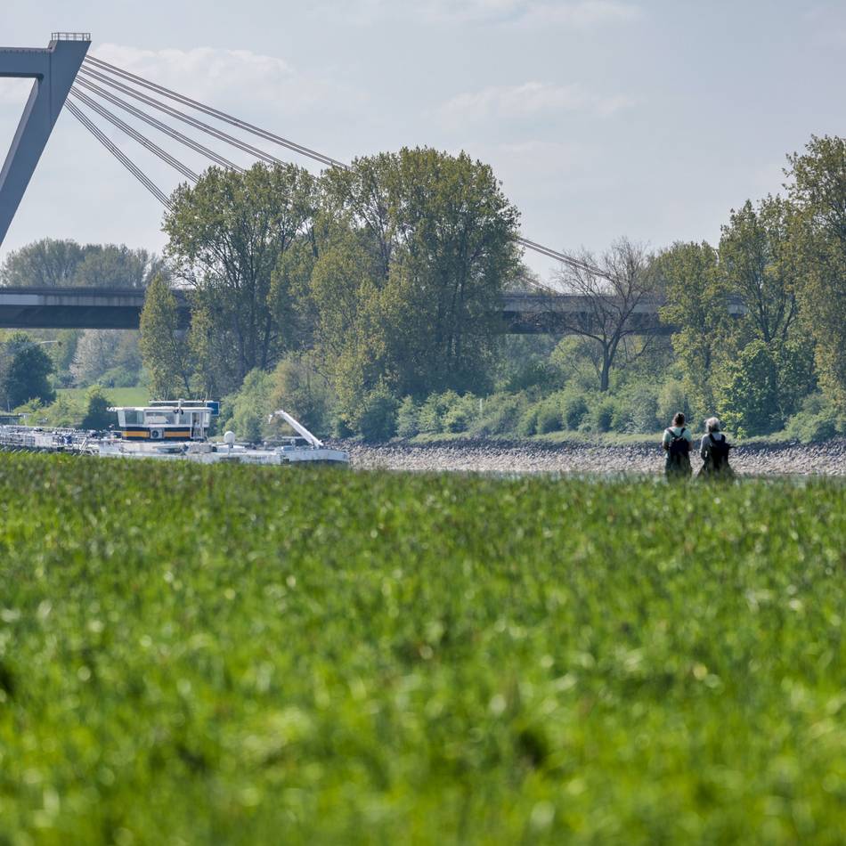 Abschnitt der A44: Flughafenbrücke zwischen Meerbusch und Düsseldorf wird gesperrt