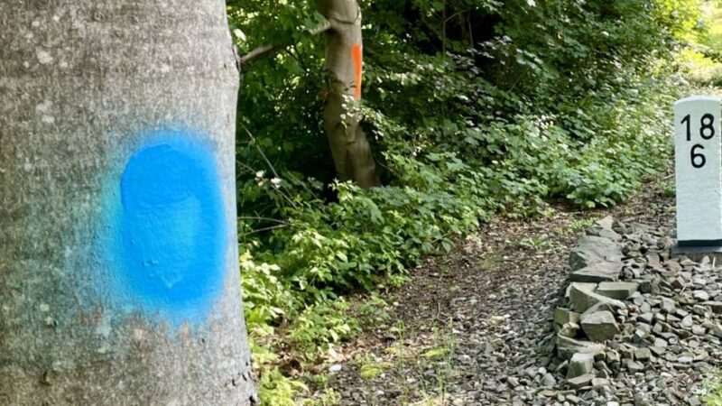 Bürgermonitor für Wermelskirchen: Proteste gegen Baumfällungen an Balkantrasse