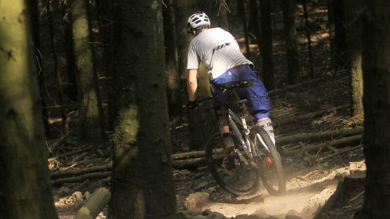 Professionelle Trails in Düsseldorf: Mountainbike-Anlage im Gerresheimer Wald soll 2026 fertig werden