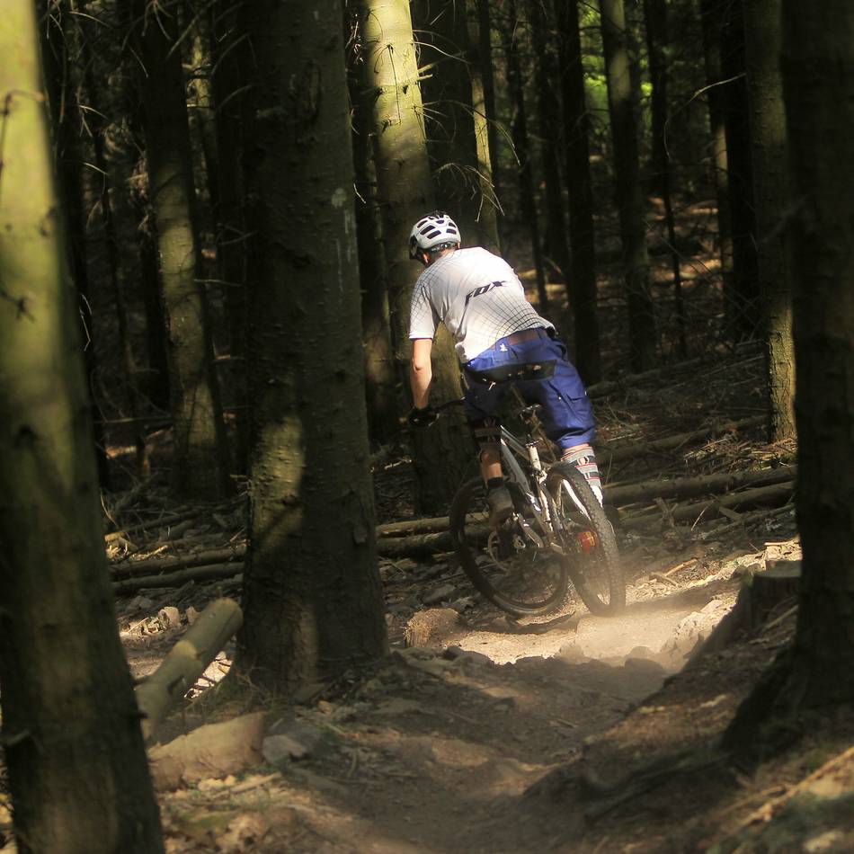Professionelle Trails in Düsseldorf: Mountainbike-Anlage im Gerresheimer Wald soll 2026 fertig werden