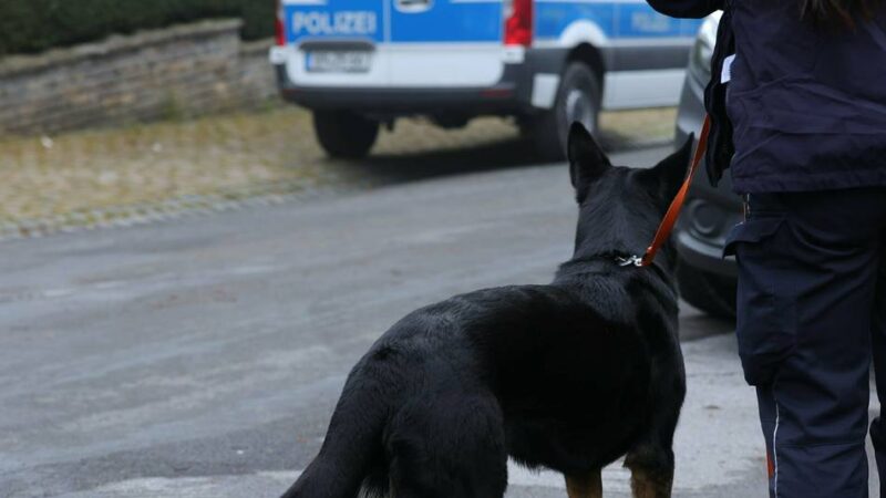 Polizeihunde hatten ihn vergeblich gesucht: Traurige Gewissheit – Vermisster aus Weeze ist tot