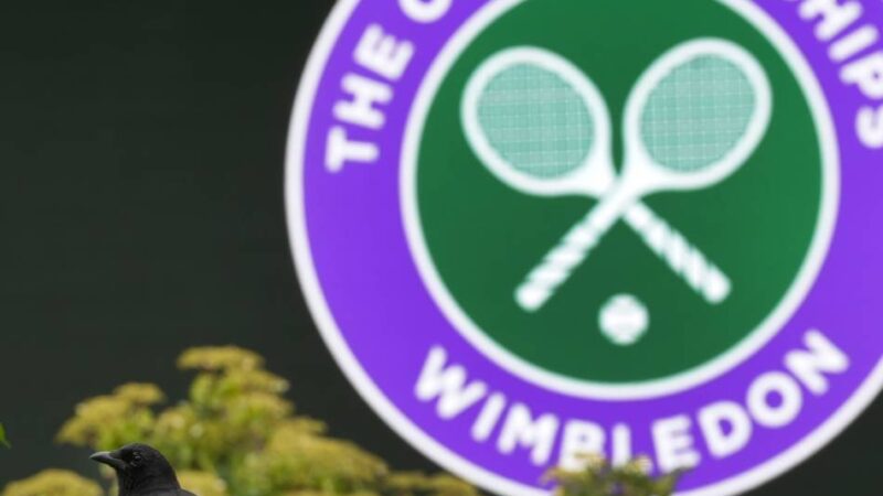 Termine, deutsche Spieler, Übertragung: Das müssen Sie über Wimbledon 2025 wissen