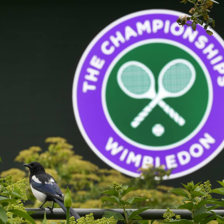 Termine, deutsche Spieler, Übertragung: Das müssen Sie über Wimbledon 2025 wissen