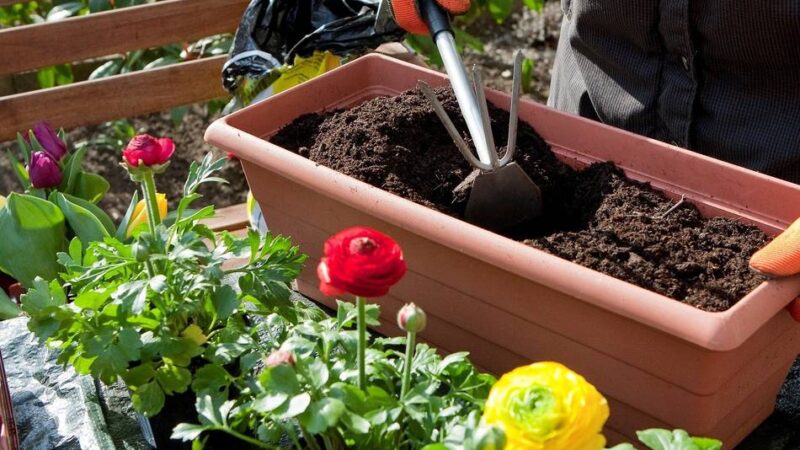 3000 Euro Preisgeld: Grevenbroich vergibt erneut Preis für Umweltprojekte