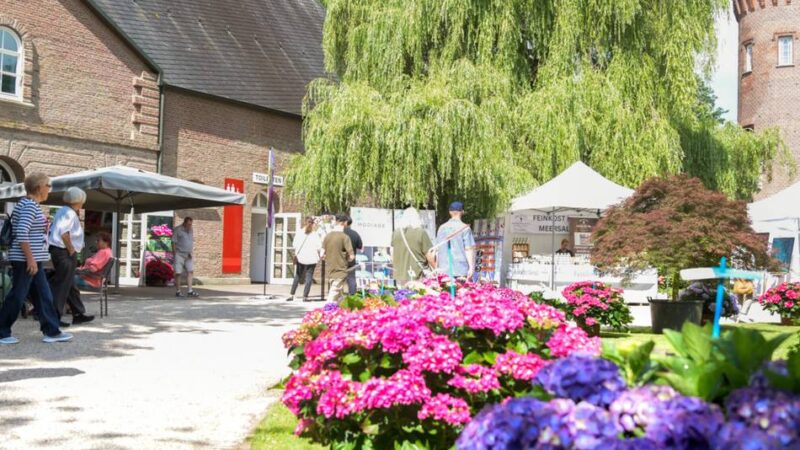 Hortensienfest: Blumenfreunde pilgern zum Schloss Moyland