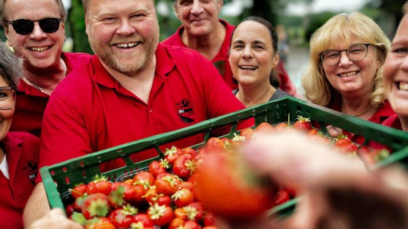 Am 14. und 15. Juni in Langenfeld: „Rund eine Tonne Erdbeeren gehen beim Erdbeerfest über den Tisch“