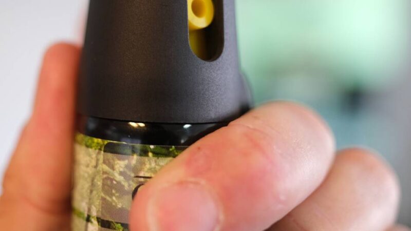 Tierschutz im Fokus: Angriff auf Hund in Krefeld führt zu Gerichtsverhandlung