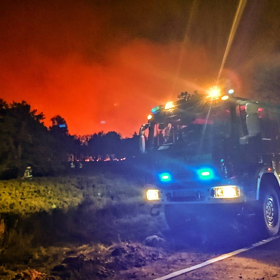 Expertentreffen in Venlo: Deutsch-niederländische Zusammenarbeit im Kampf gegen Waldbrände