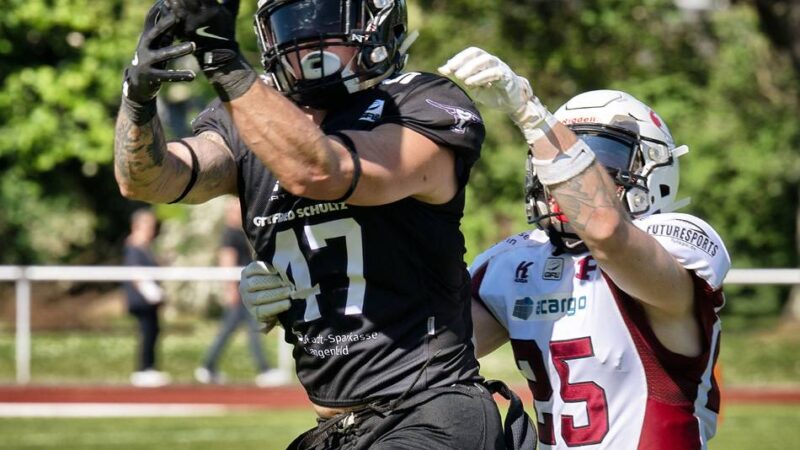 Spitzenreiter der German Football League 2: Das macht die Langenfeld Longhorns so stark