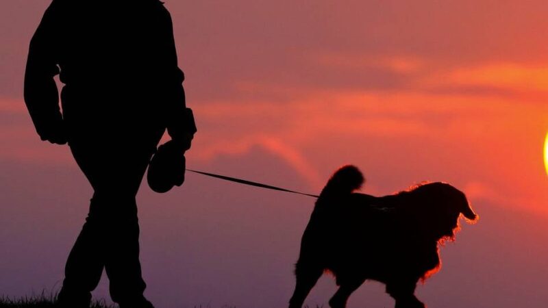 Stadt Ratingen erinnert : Hundesteuer wird am 1. Juli fällig