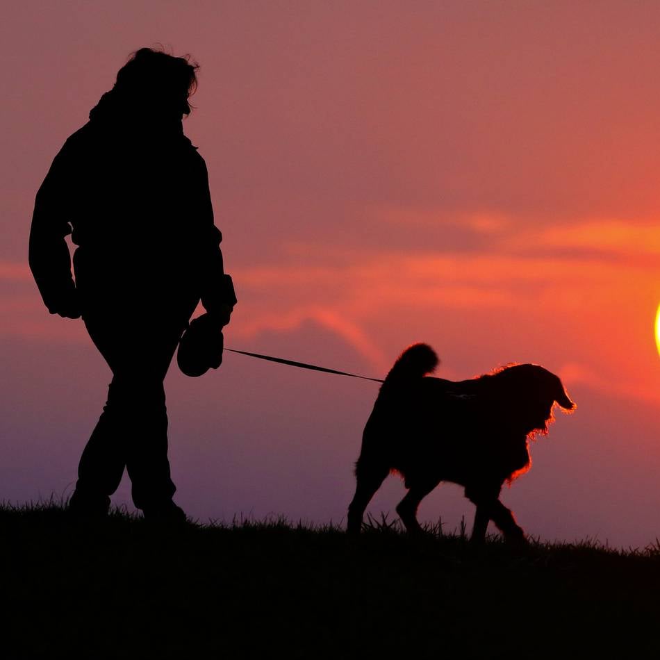 Stadt Ratingen erinnert : Hundesteuer wird am 1. Juli fällig