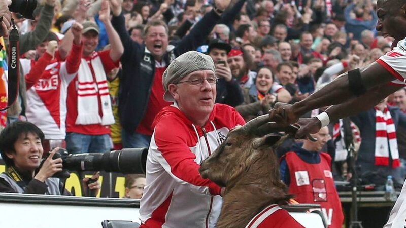 Hennes in Köln, Attila bei der Eintracht: Sind lebendige Tier-Maskottchen bei Fußballklubs noch zeitgemäß?