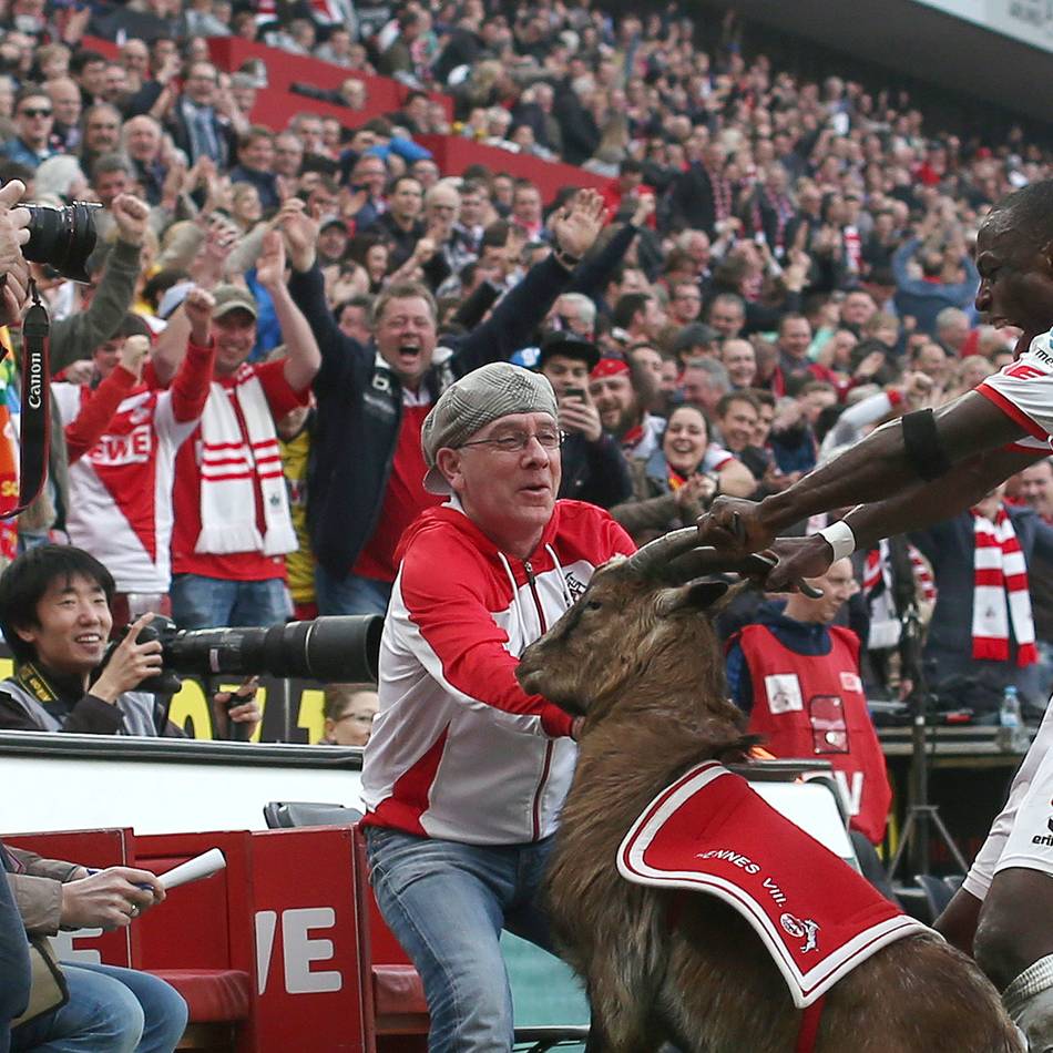 Hennes in Köln, Attila bei der Eintracht: Sind lebendige Tier-Maskottchen bei Fußballklubs noch zeitgemäß?