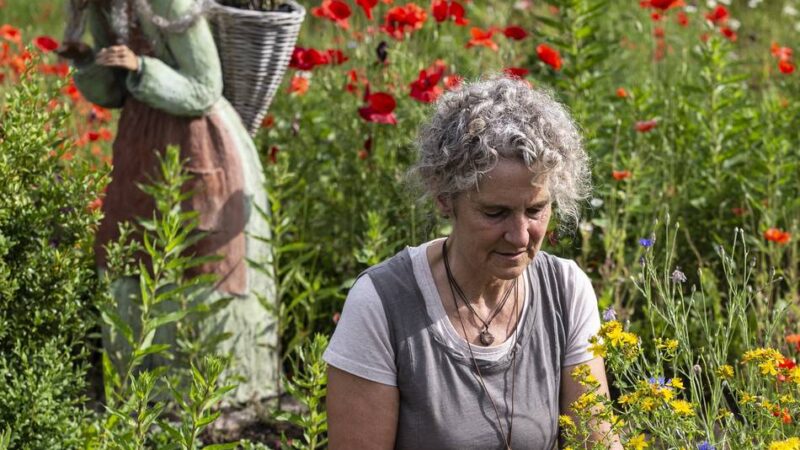Kräuterstübchen in Radevormwald-Borbeck: Expertin Anke Höller vermittelt Wissen über biblische Kräuter
