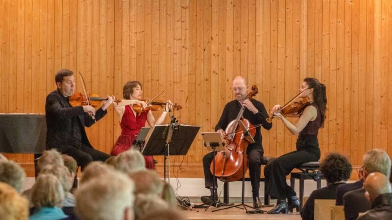 Klassische Musik im Neusser Kulturraum: Hombroich feiert fulminantes Inselfestival