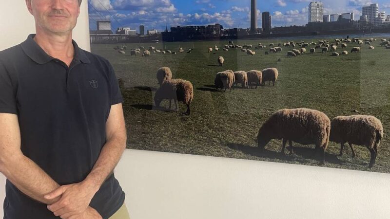 Kunstausstellung in Düsseldorf: Haus Lörick zeigt Fotografien von Norbert Steinke