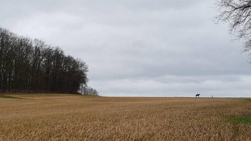 Tragische Entdeckung in Helenabrunn: Spaziergänger fanden Toten im Gebüsch