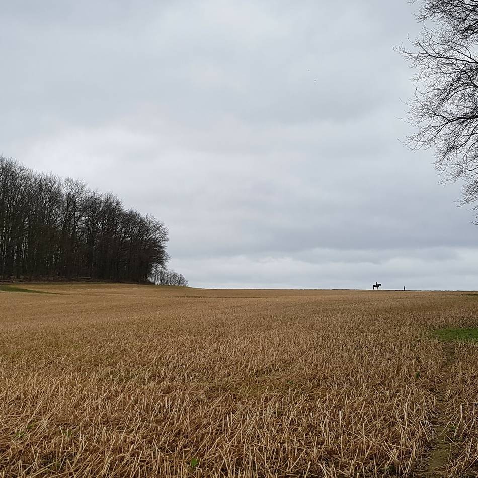 Tragische Entdeckung in Helenabrunn: Spaziergänger fanden Toten im Gebüsch