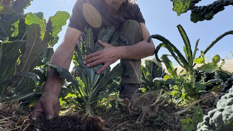 Landwirtschaft in Mönchengladbach: Wie der Acker kühl und feucht bleibt