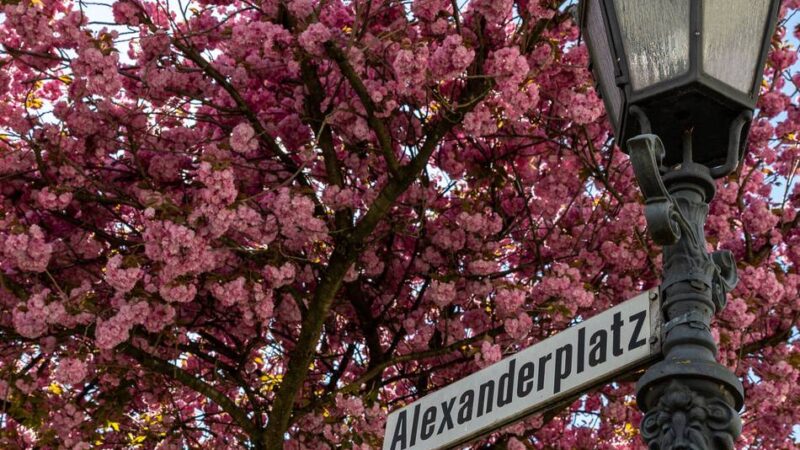 Die Woche in Krefeld: Eine Stadt im Glück