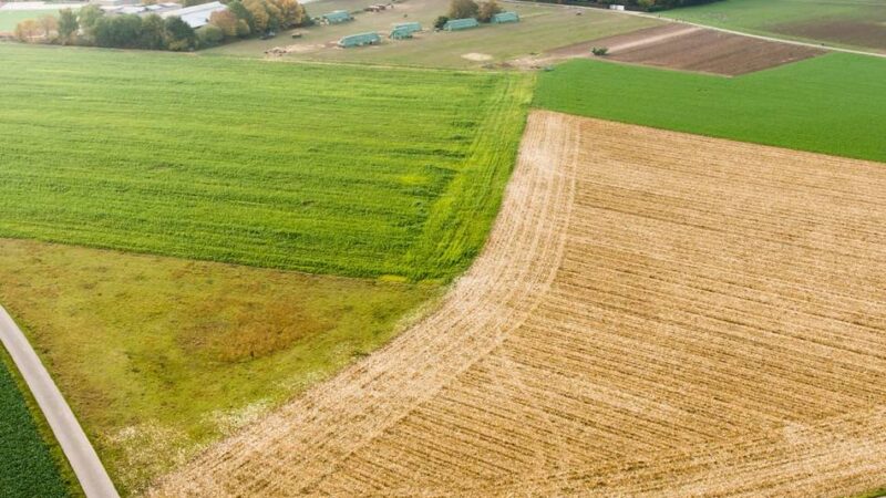 Bauprojekt in Düsseldorf: Stadt informiert über den Masterplan Nördlich Kalkumer Schloßallee